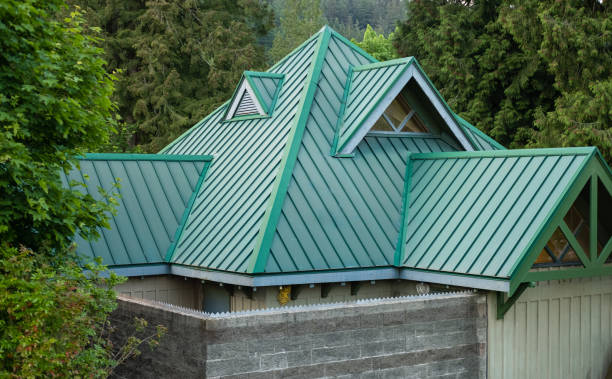 Best Roof Moss and Algae Removal  in Falls Church, VA